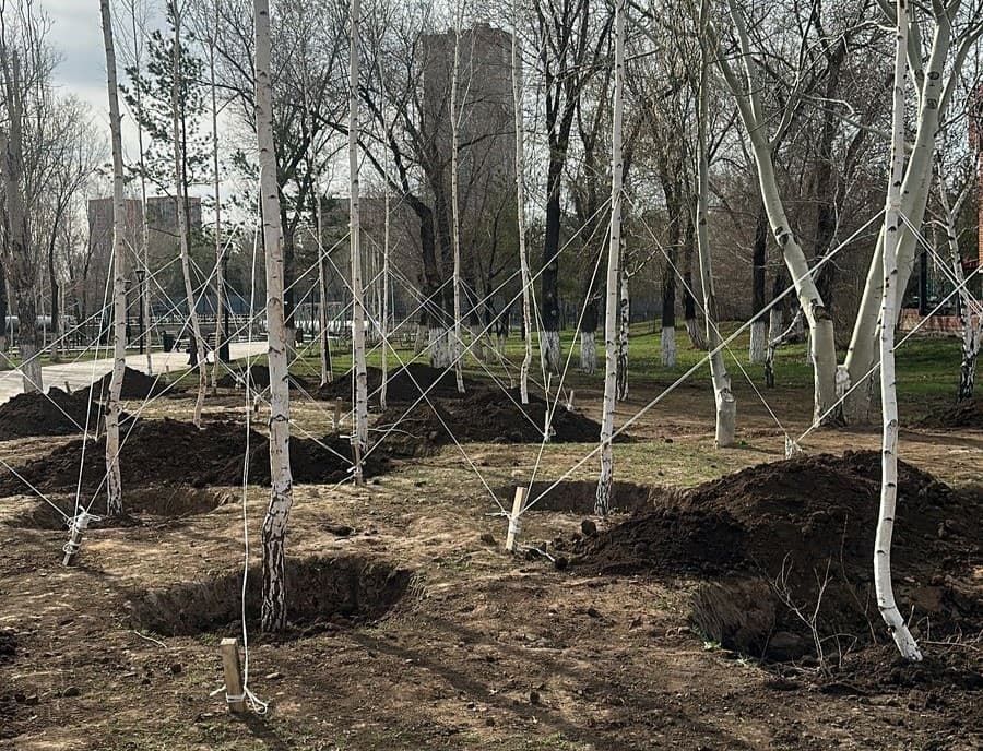 Esil University принял участие в экологической акции «Таза Қазақстан»